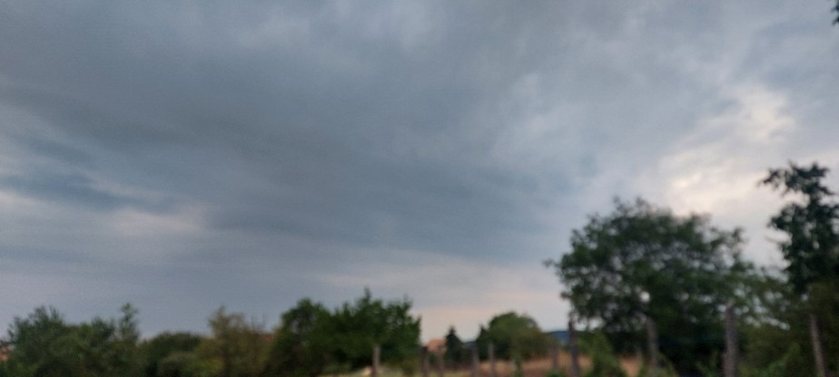 Szár