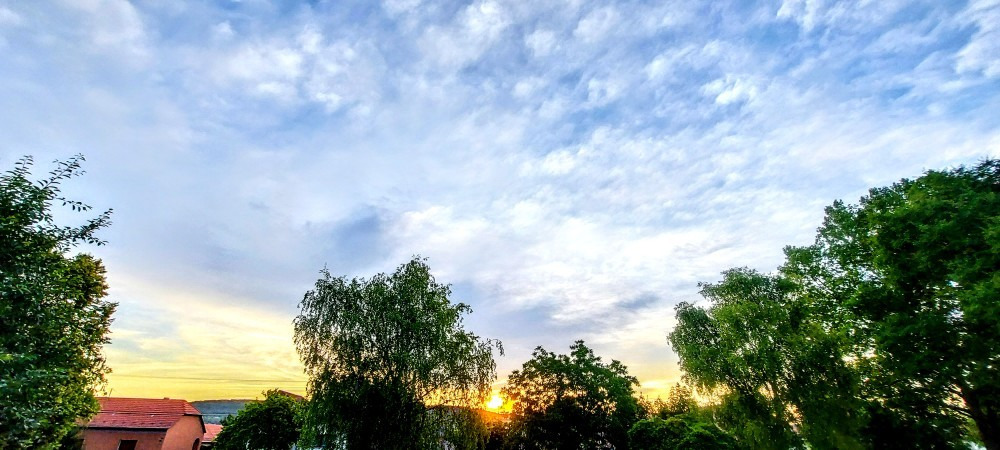 Szár