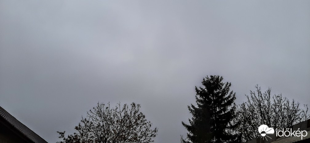 Szár