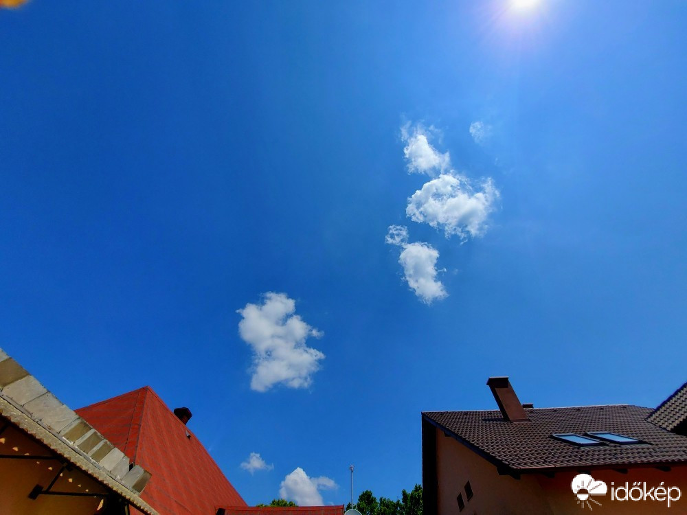 Szár