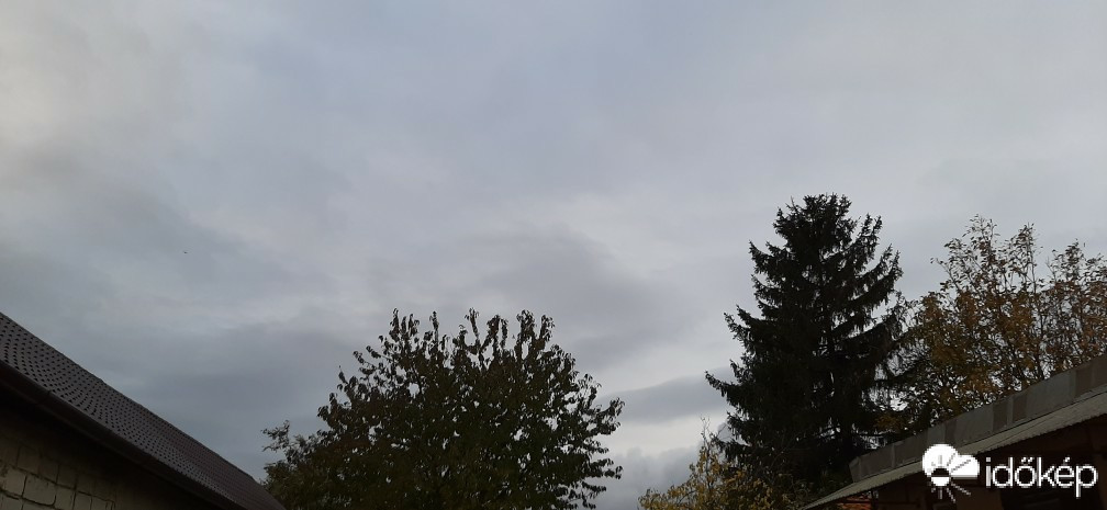 Szár