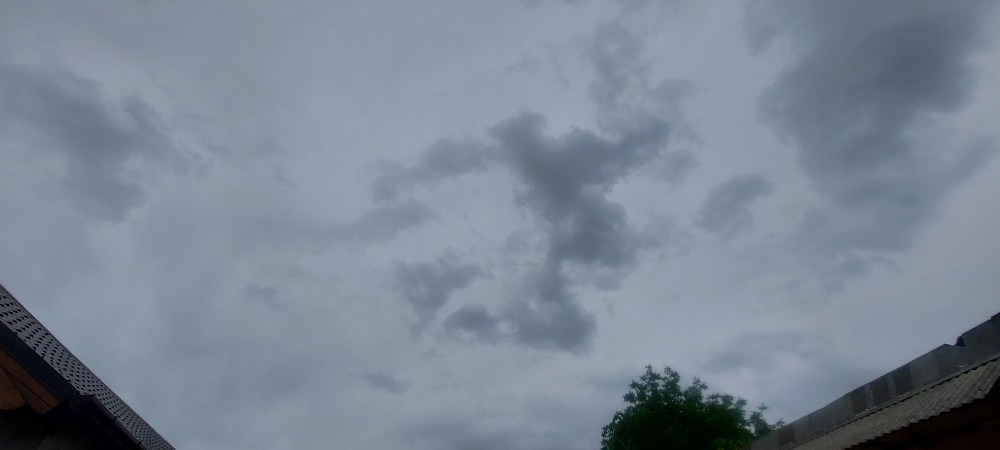 Szár
