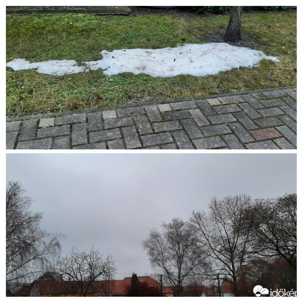 Szár