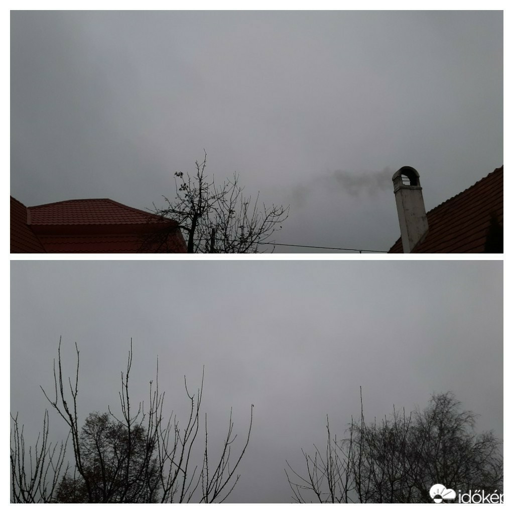 Szár