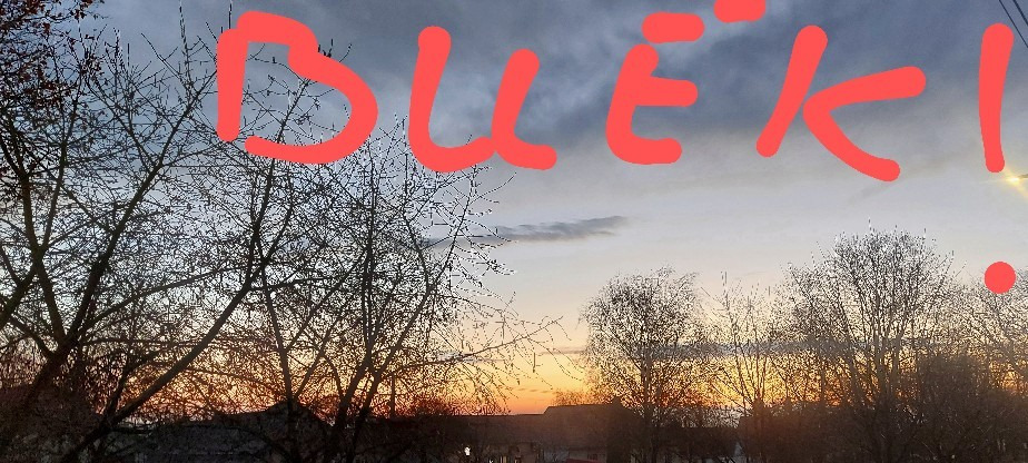 Szár