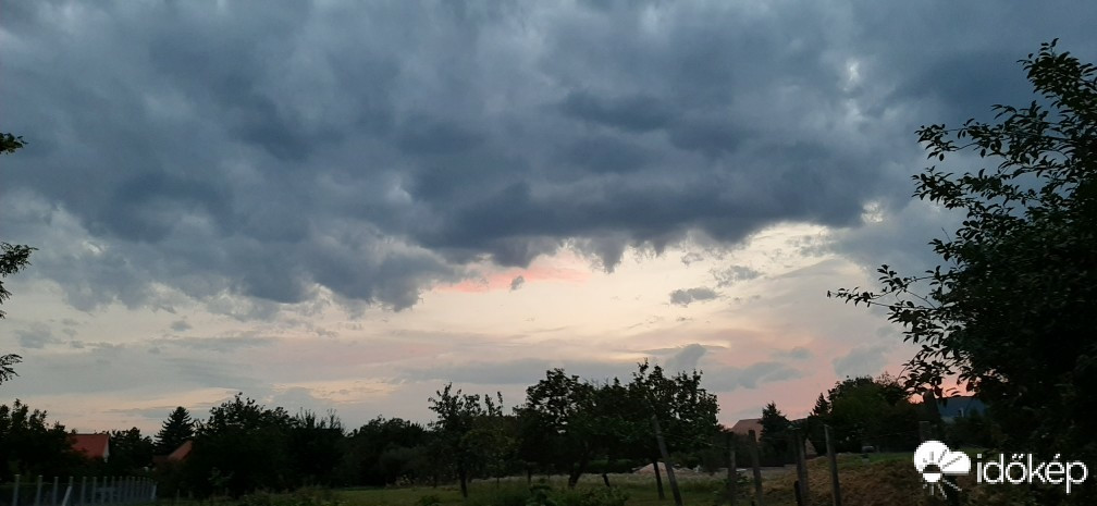 Szár