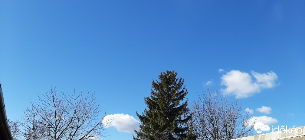 Szár