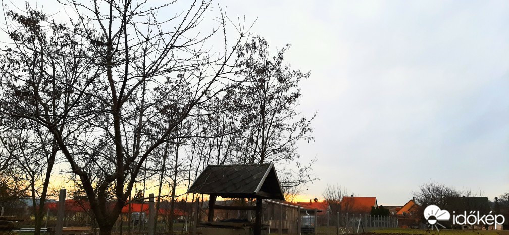 Szár