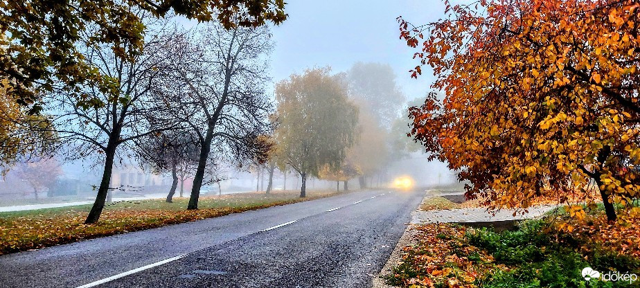 Szár