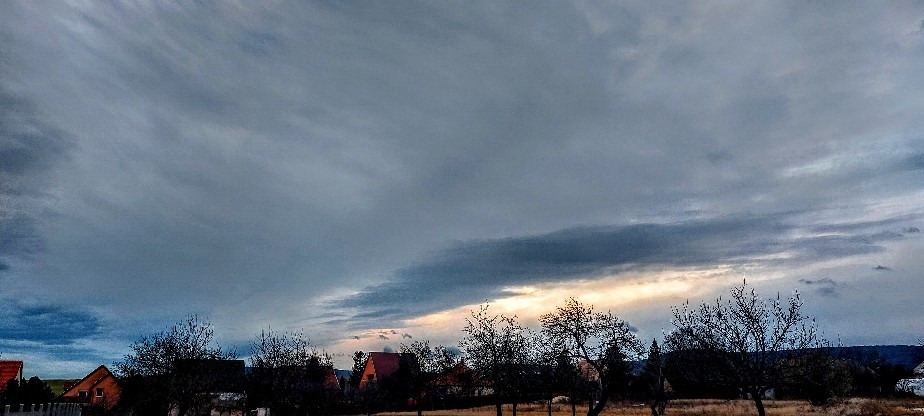 Szár