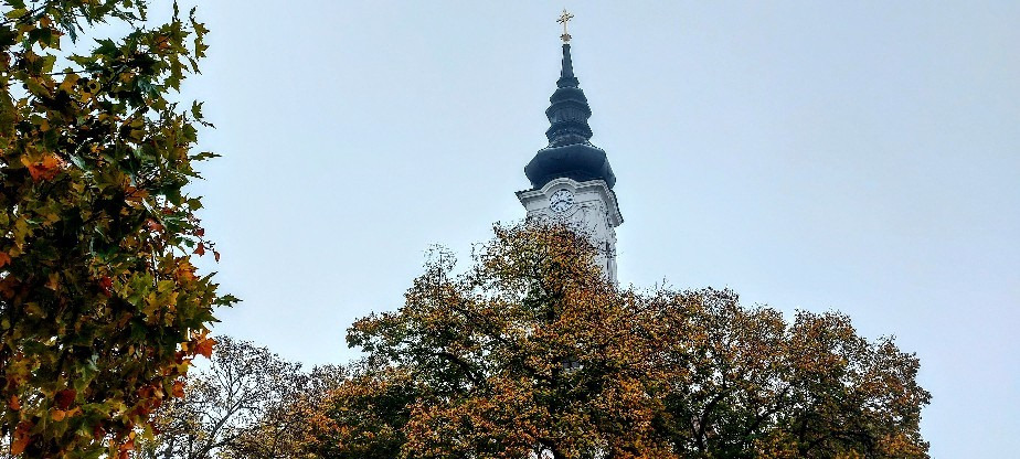 Szár