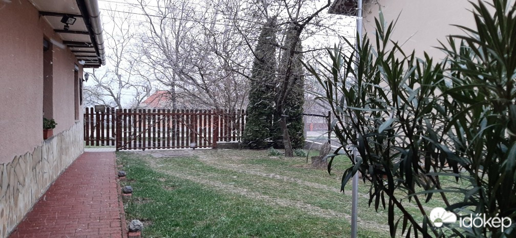 Szár