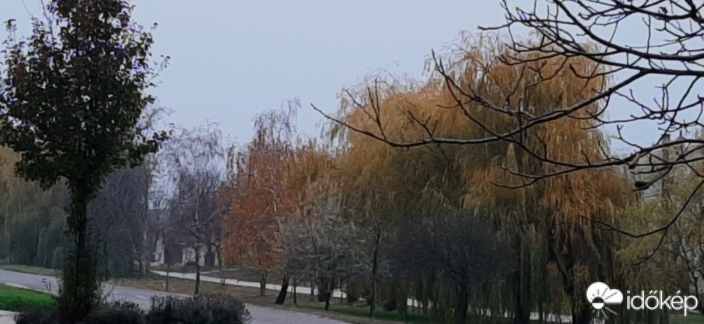 Szár