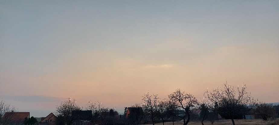 Szár