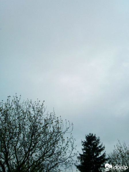 Szár