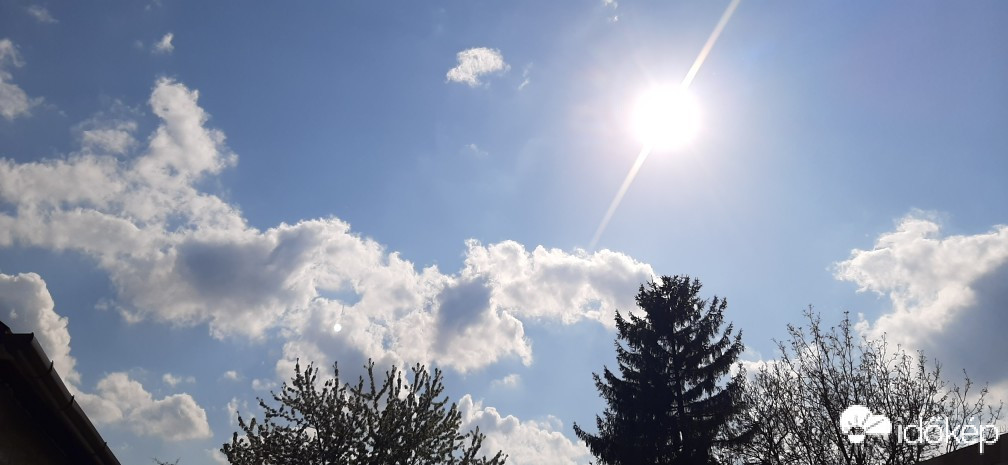 Szár