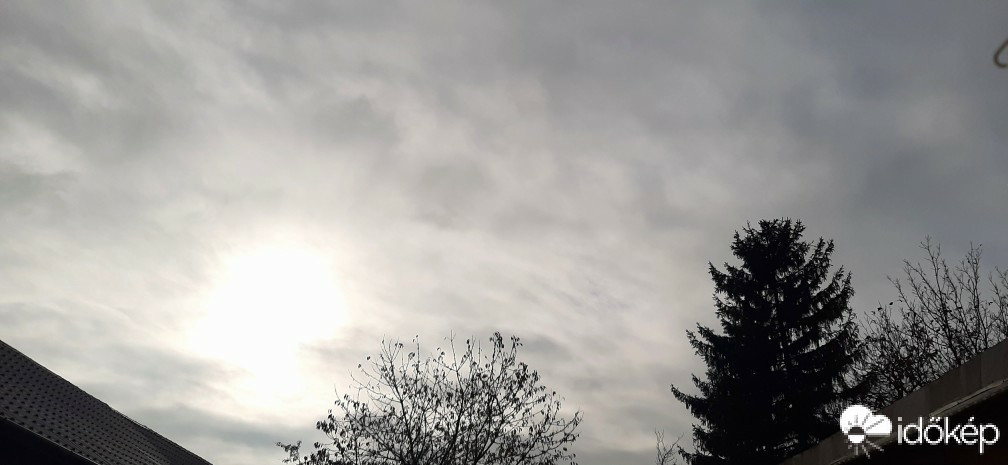 Szár