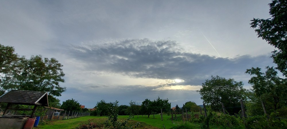 Szár