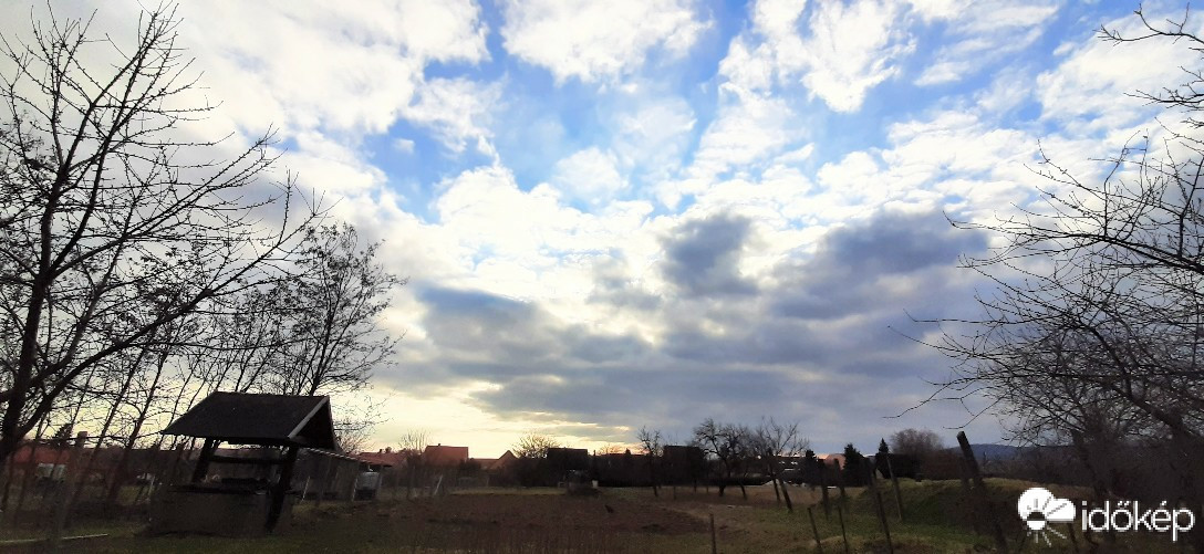 Szár