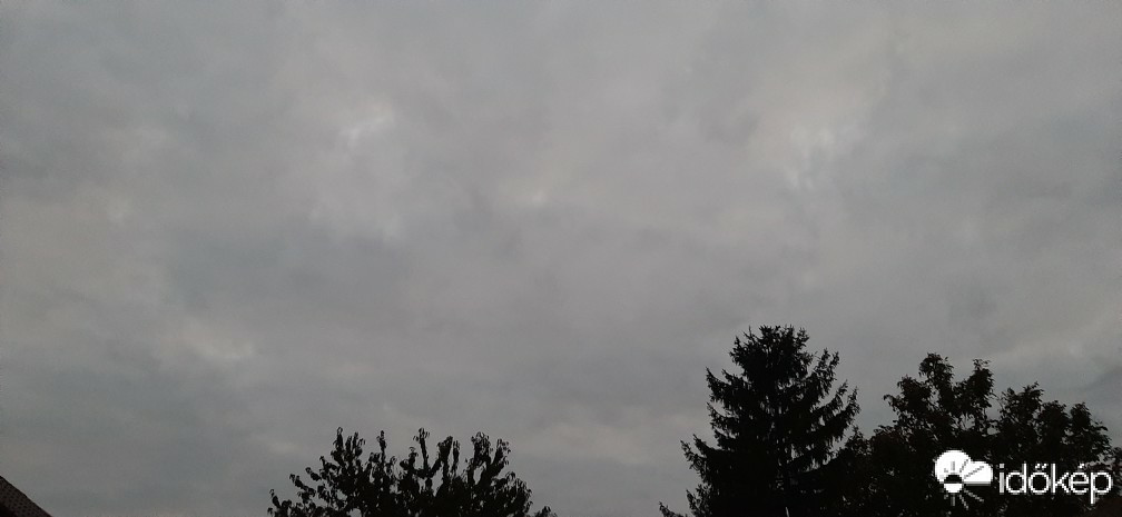 Szár