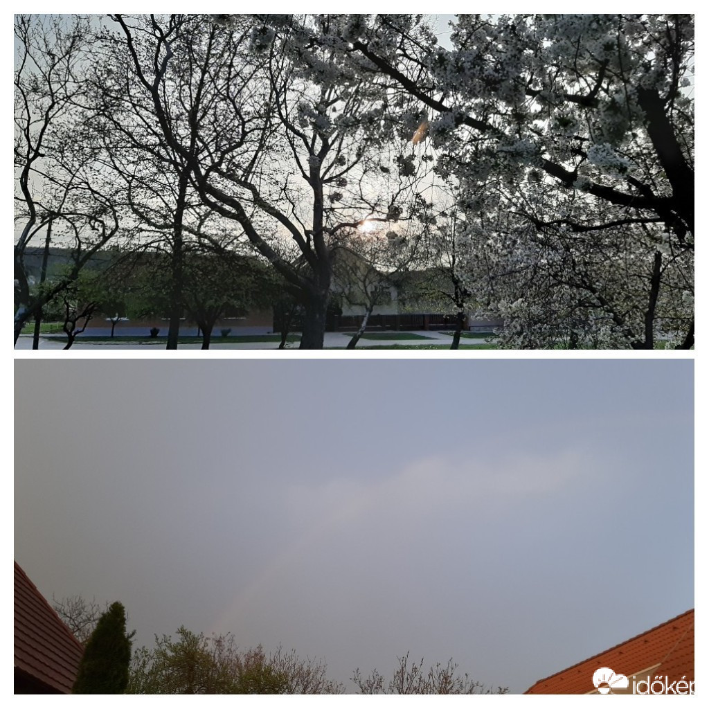 Szár