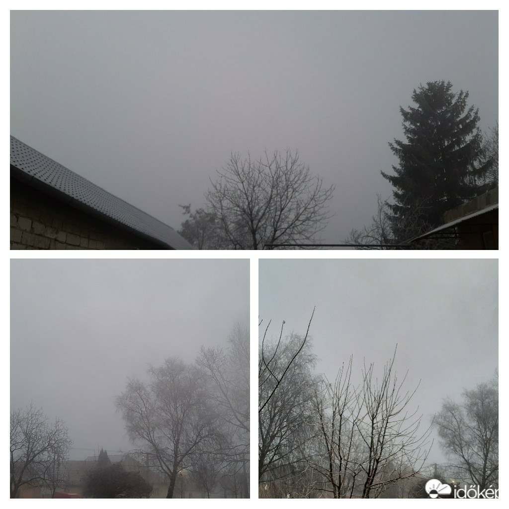 Szár