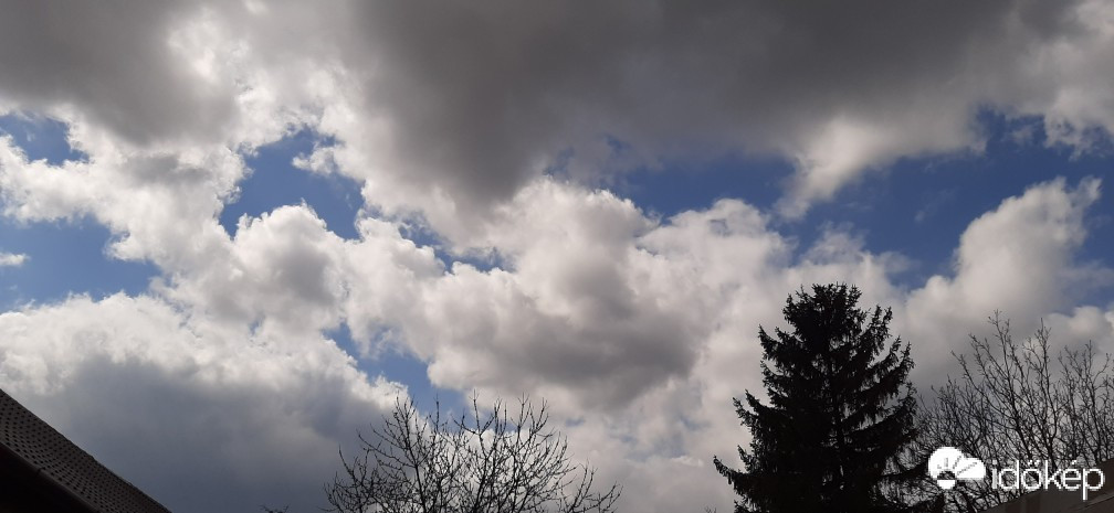 Szár