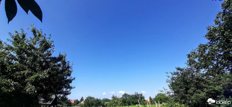 Szár
