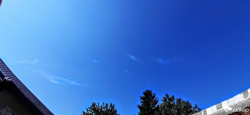 Szár