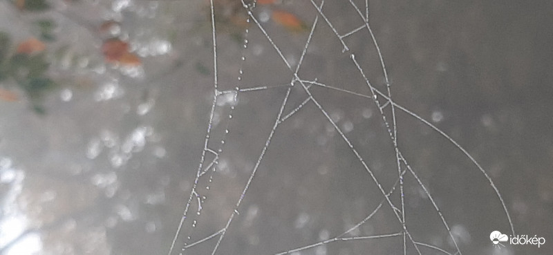 Pókháló van már az...