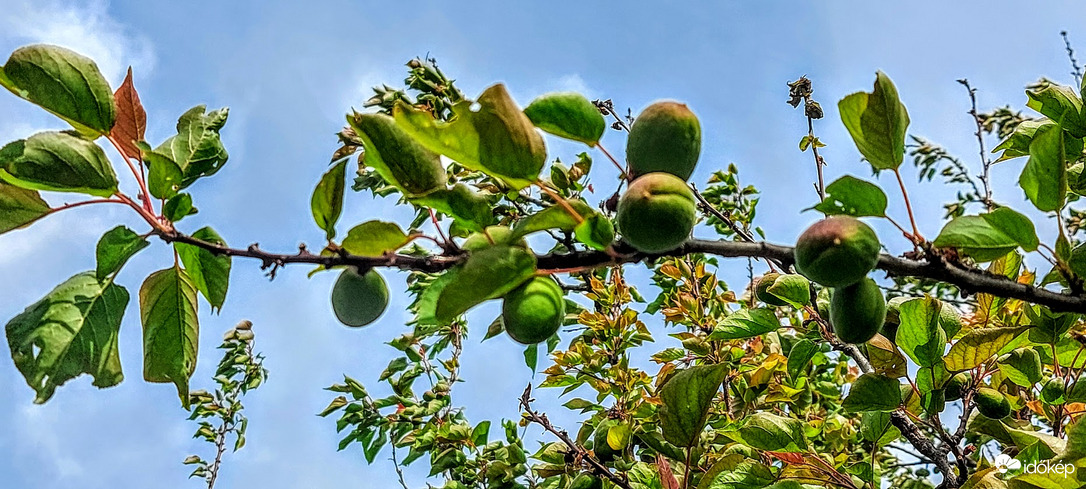 Reméljük beérnek!