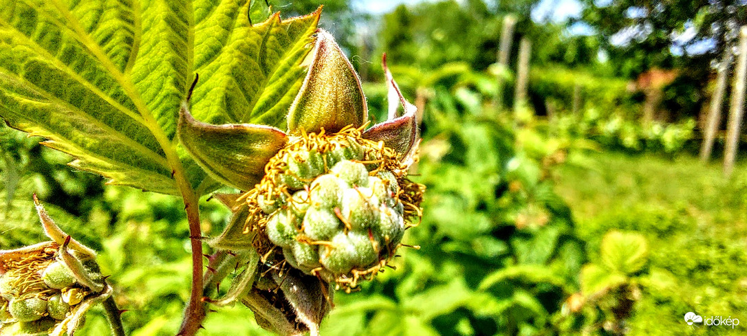 Egy kis piros festék nem ártana.