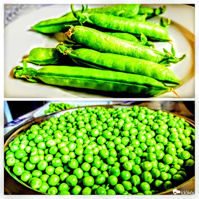 Szépen meghíztak, de még nincs vége a szezonnak.