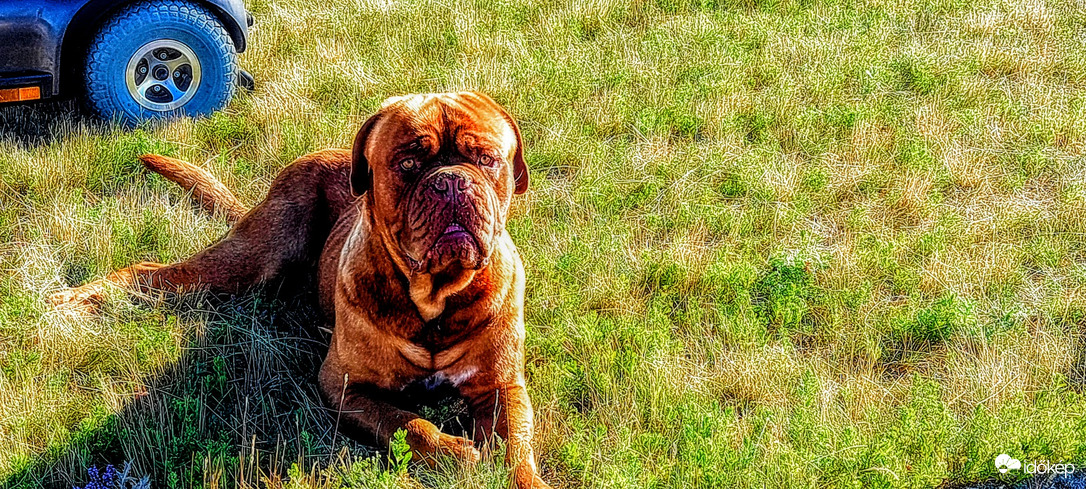 Akarsz mondani valamit?