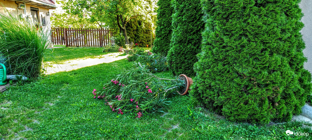Buliban voltunk éjjel.