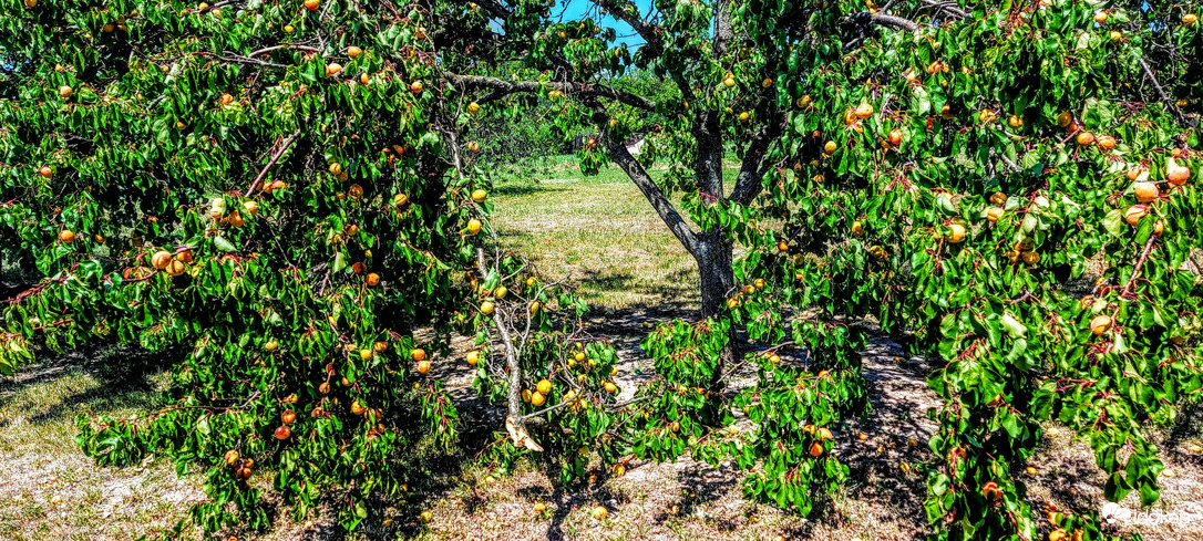 Newton-nak igaza volt.