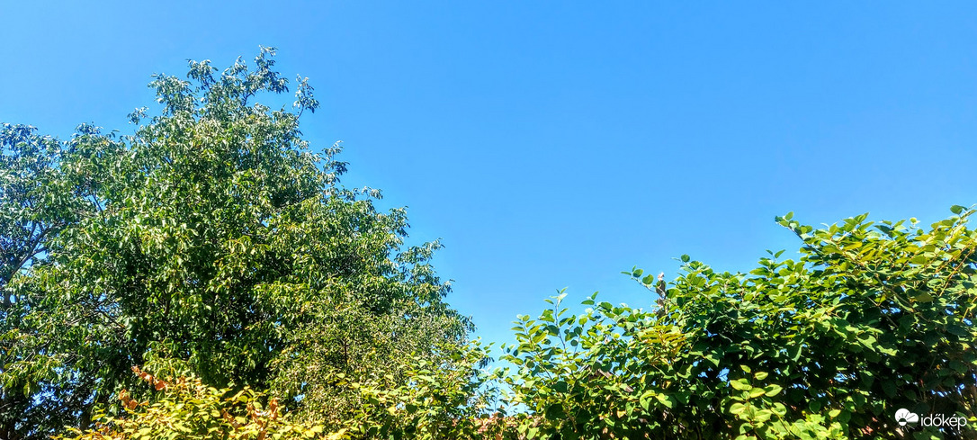 Minden a maga színében látszik.