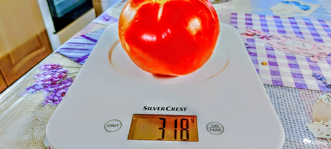 Kicsit meghíztam, ugye nem baj?