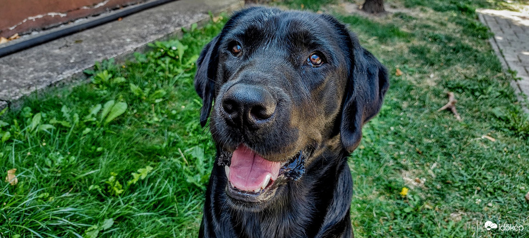 Mikor jőm már a "jutifalat"?