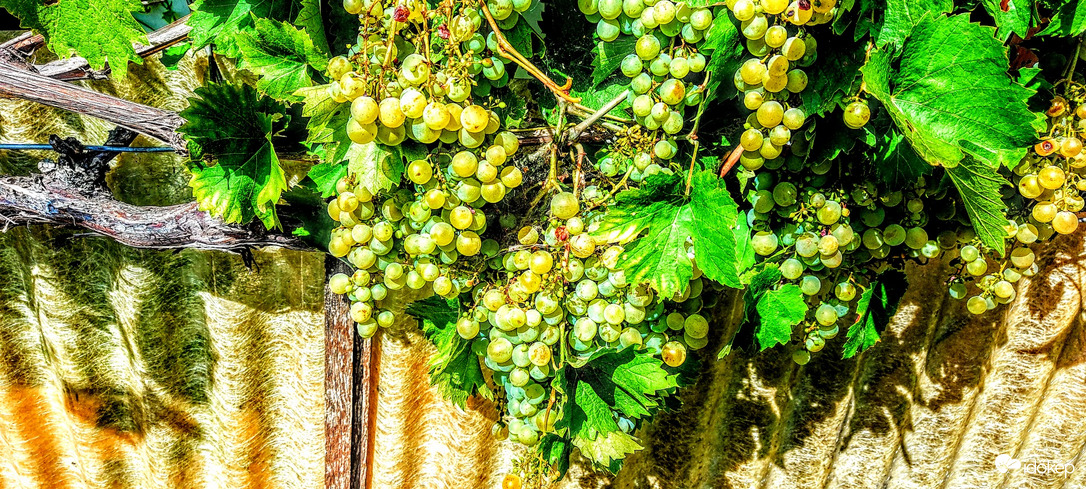 Nemsokára "elkészülünk".