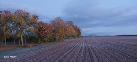 Lengyeltóti