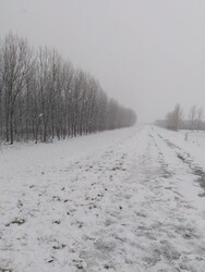 Tiszaeszlár