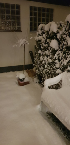 Wörgl