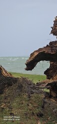 Balatonfenyves