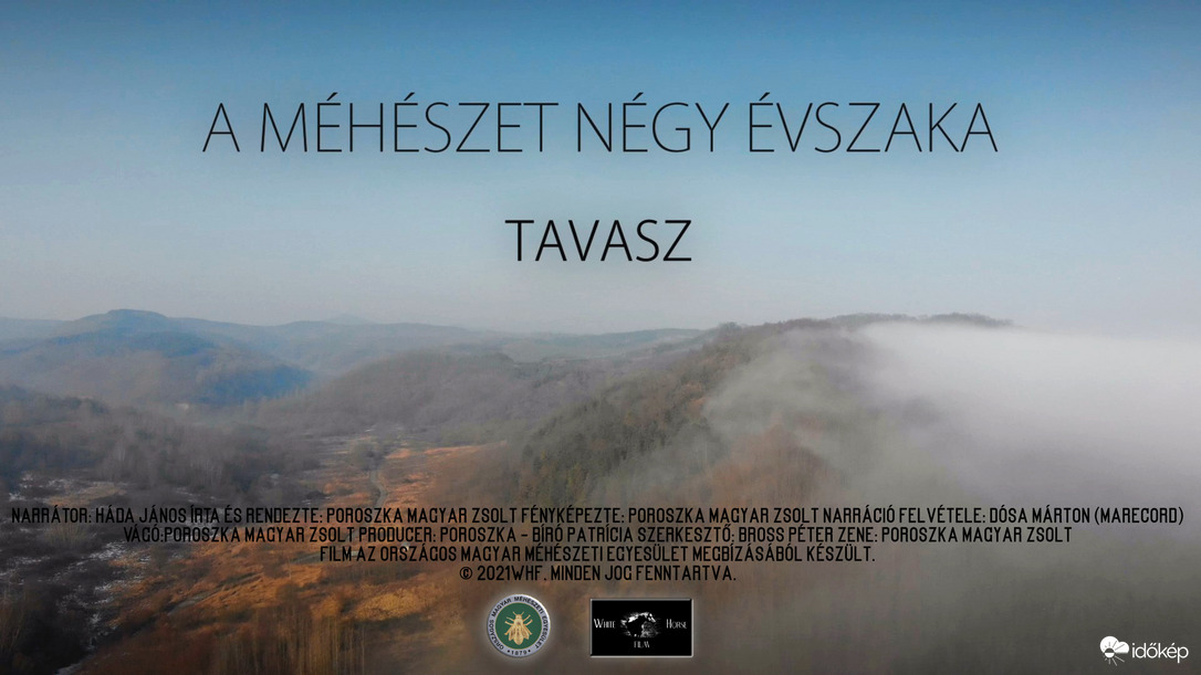 A méhészet négy évszaka TAVASZ