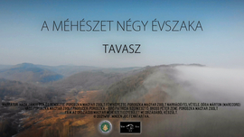 A méhészet négy évszaka TAVASZ