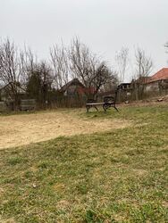 Nőtincs