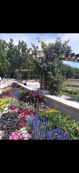 Balatonfüred