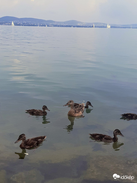 Balatonfüred