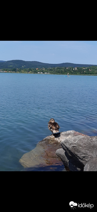 Balatonfüred